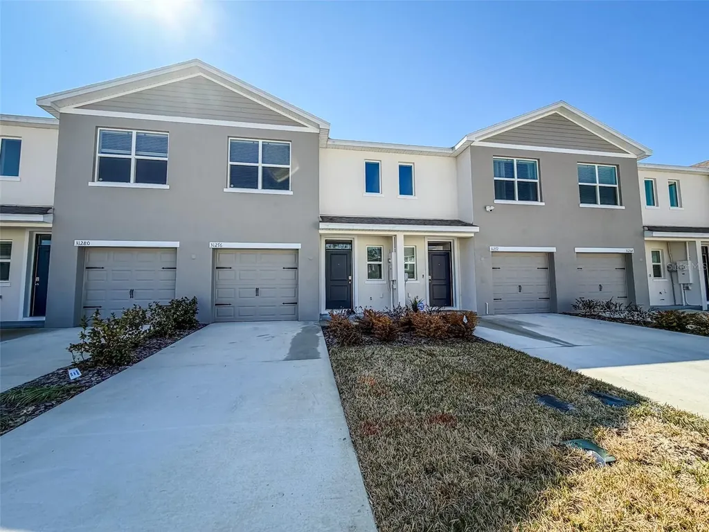 31276 Paper Birch Street Wesley Chapel FL 33545