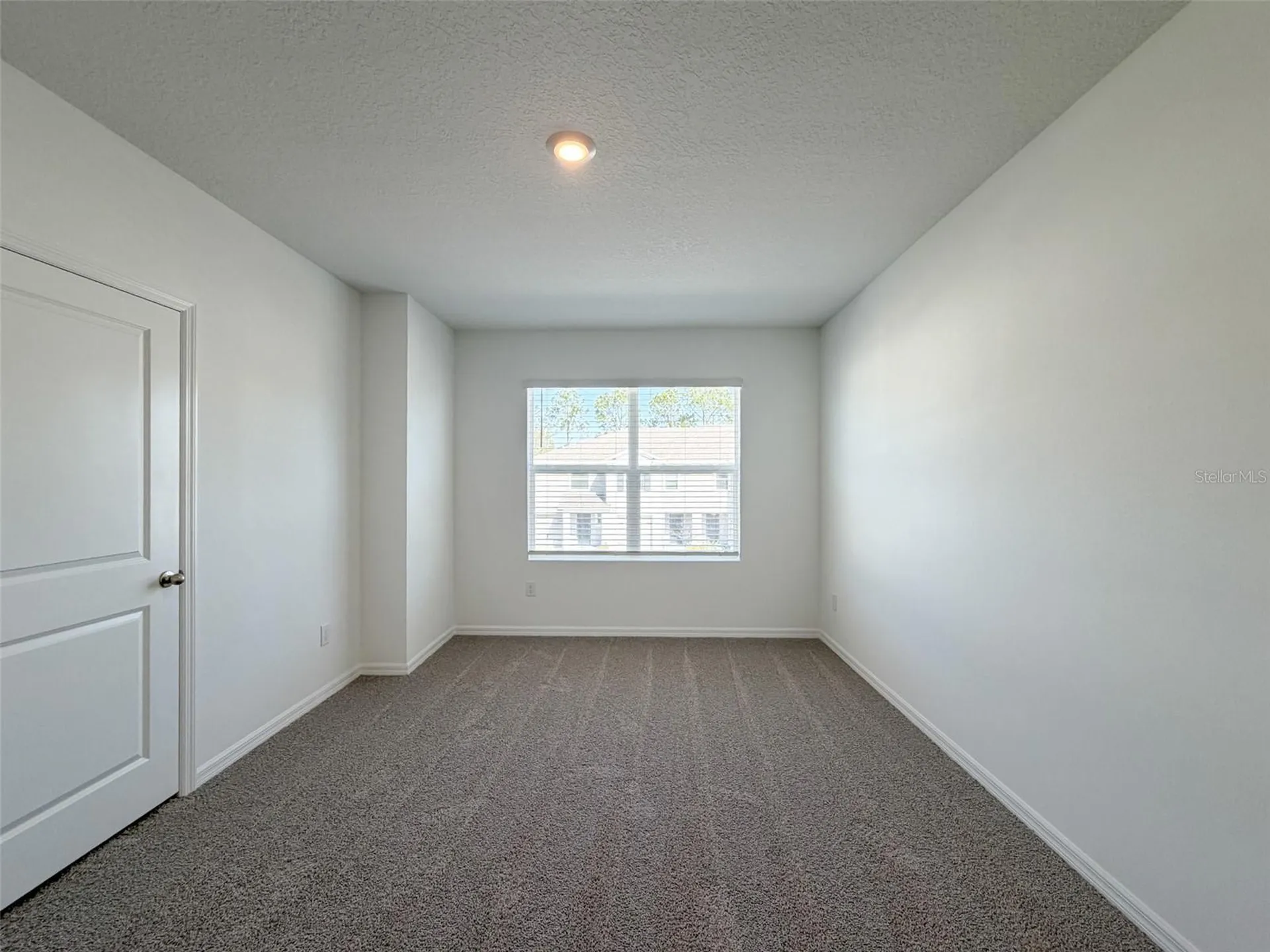 31276 Paper Birch Street Wesley Chapel FL 33545