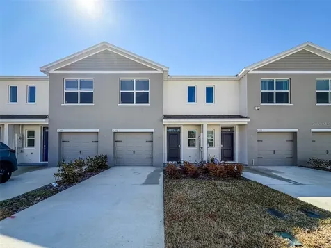 31276 Paper Birch Street Wesley Chapel FL 33545