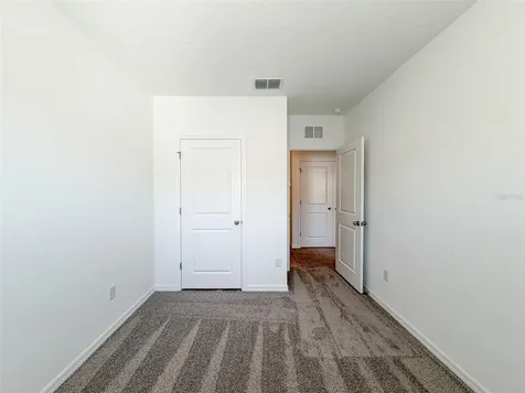 31276 Paper Birch Street Wesley Chapel FL 33545