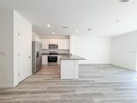 31276 Paper Birch Street Wesley Chapel FL 33545