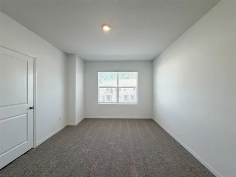 31276 Paper Birch Street Wesley Chapel FL 33545