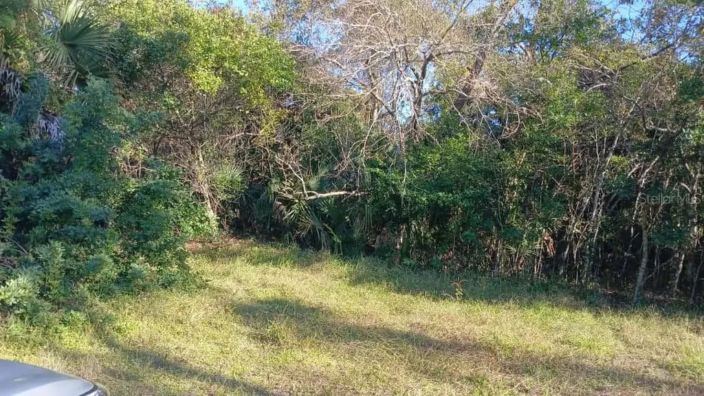 Avenue O Ormond Beach FL 32174