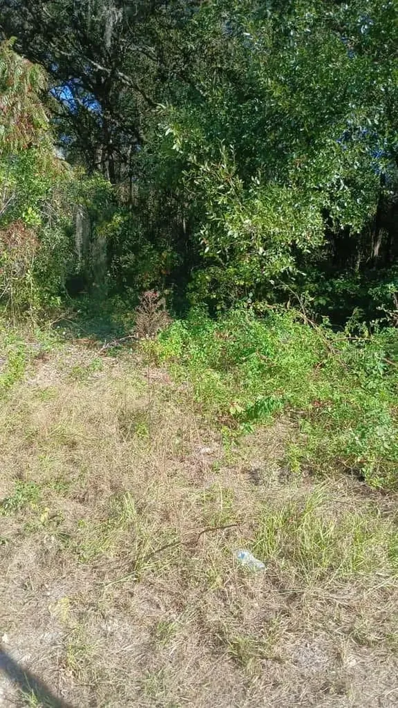 Avenue O Ormond Beach FL 32174
