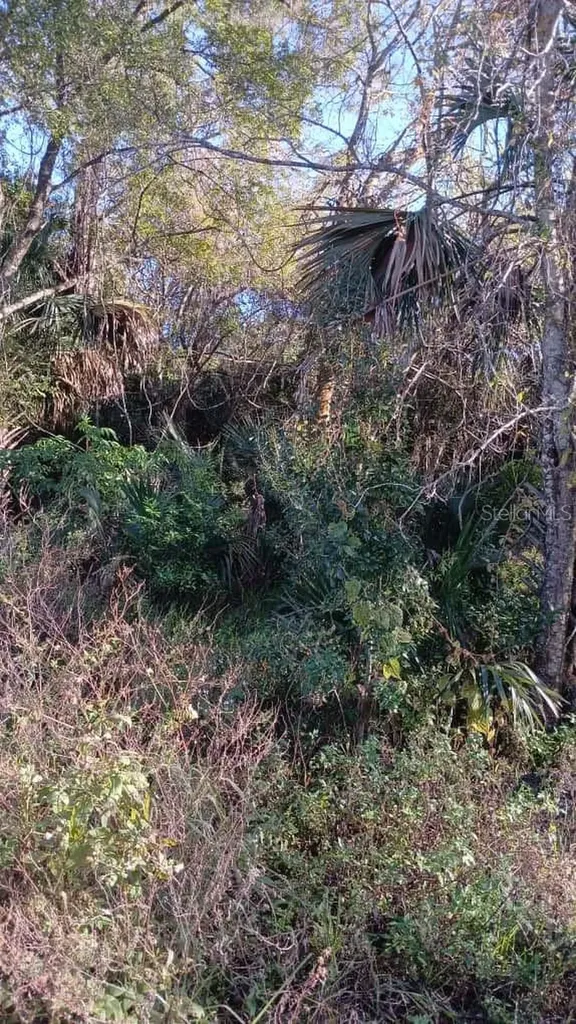 Avenue O Ormond Beach FL 32174