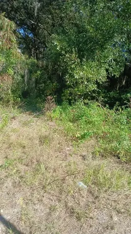 Avenue O Ormond Beach FL 32174