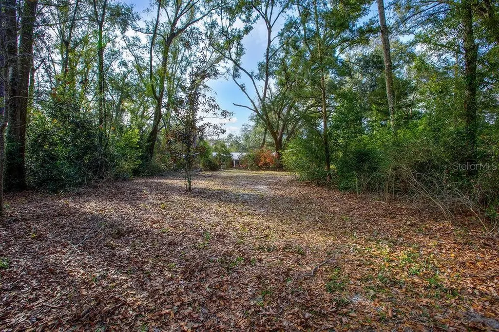103 NE Suwannee River Drive Mayo FL 32066