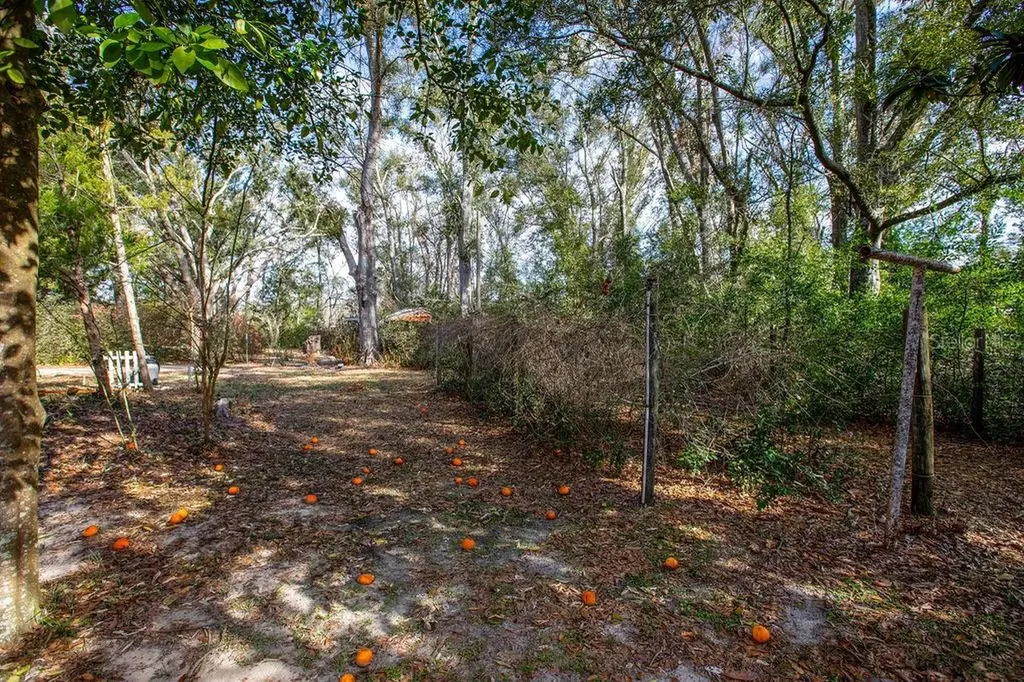 103 NE Suwannee River Drive Mayo FL 32066