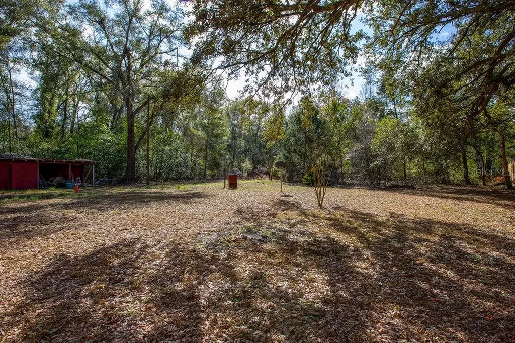103 NE Suwannee River Drive Mayo FL 32066