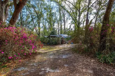 103 NE Suwannee River Drive Mayo FL 32066