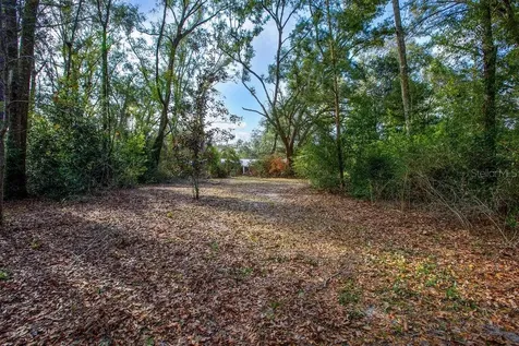 103 NE Suwannee River Drive Mayo FL 32066