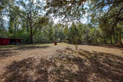 103 NE Suwannee River Drive Mayo FL 32066