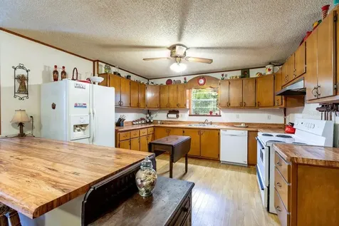 103 NE Suwannee River Drive Mayo FL 32066