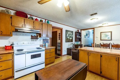 103 NE Suwannee River Drive Mayo FL 32066