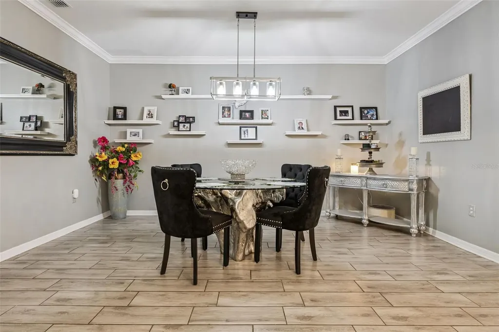 5125 Tanzanite Drive Mount Dora FL 32757