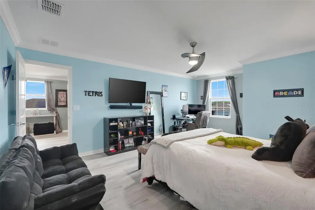 5125 Tanzanite Drive Mount Dora FL 32757