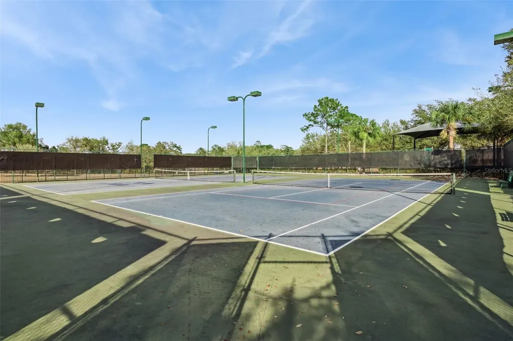 5125 Tanzanite Drive Mount Dora FL 32757
