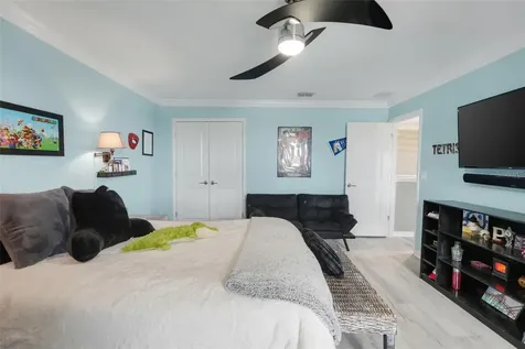 5125 Tanzanite Drive Mount Dora FL 32757