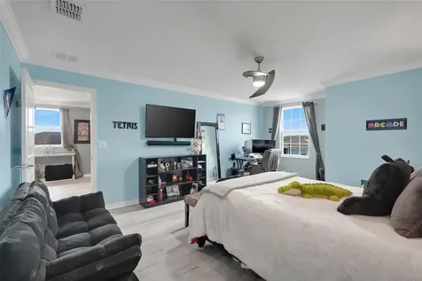 5125 Tanzanite Drive Mount Dora FL 32757
