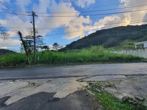 Carr 191 Naguabo PR 00718