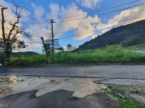 Carr 191 Naguabo PR 00718