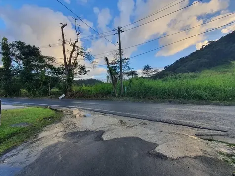 Carr 191 Naguabo PR 00718