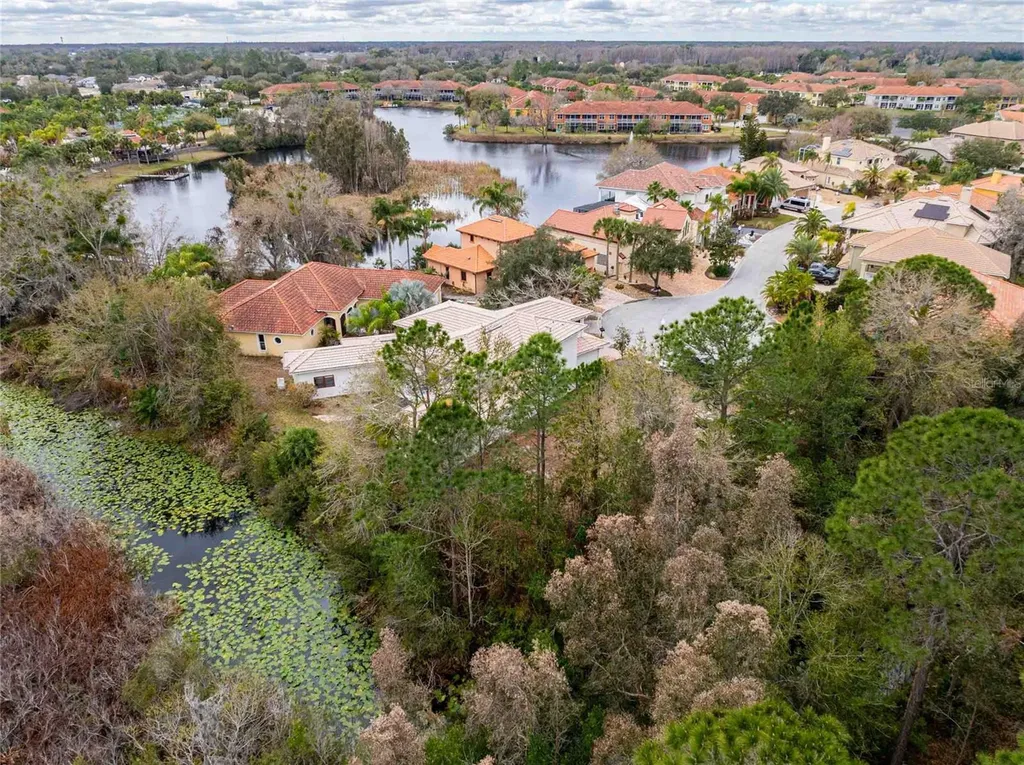 21150 Los Cabos Court Land O Lakes FL 34637
