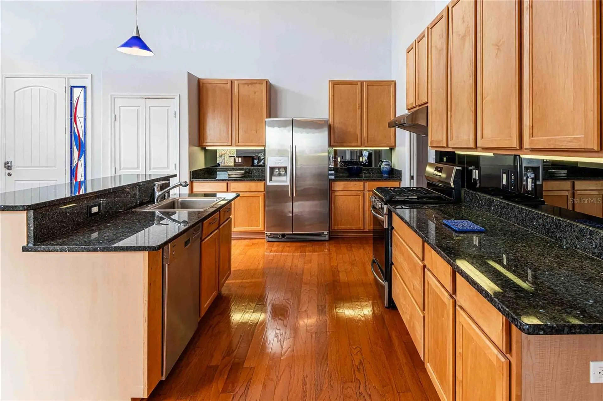 21150 Los Cabos Court Land O Lakes FL 34637