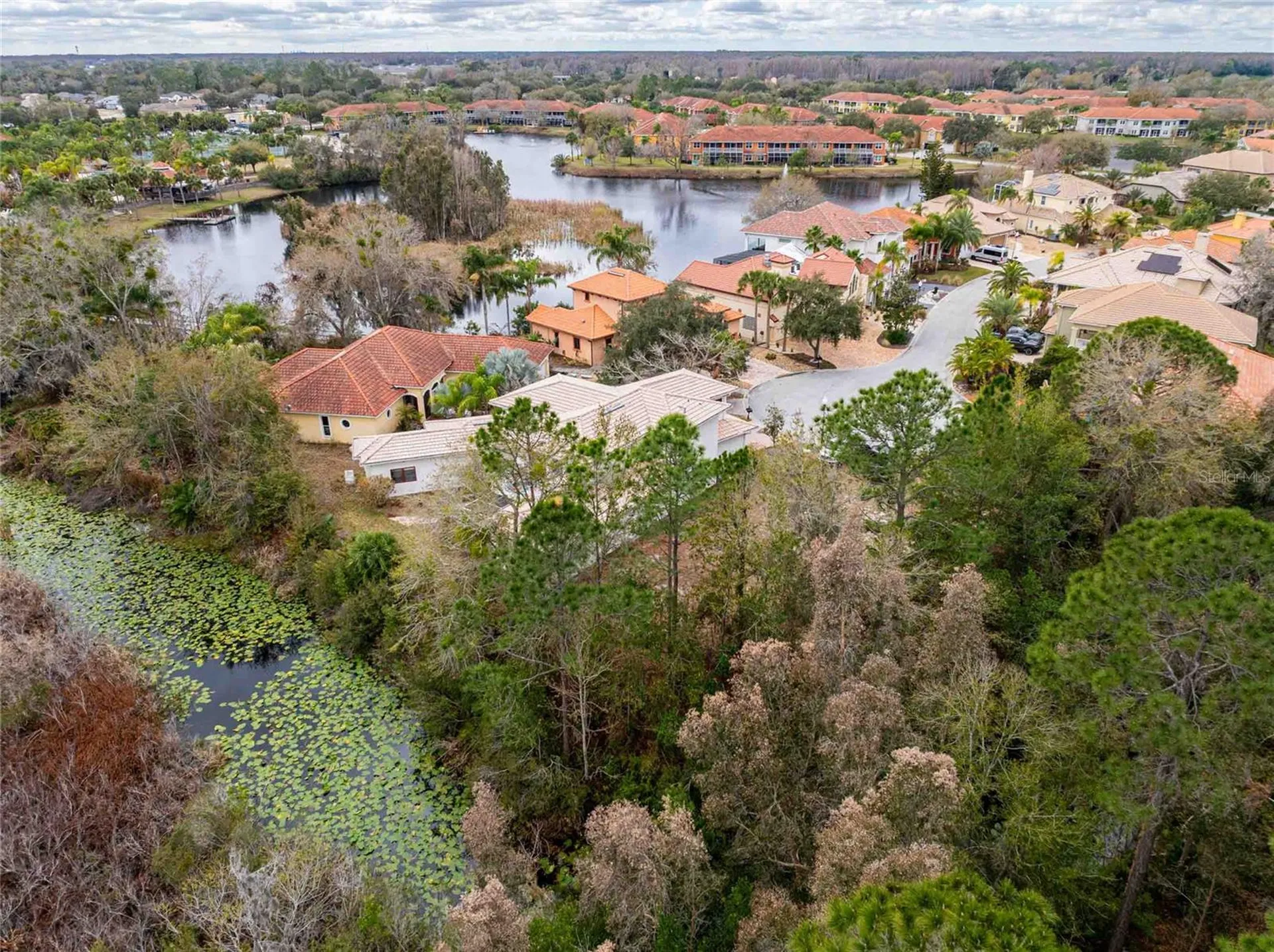 21150 Los Cabos Court Land O Lakes FL 34637