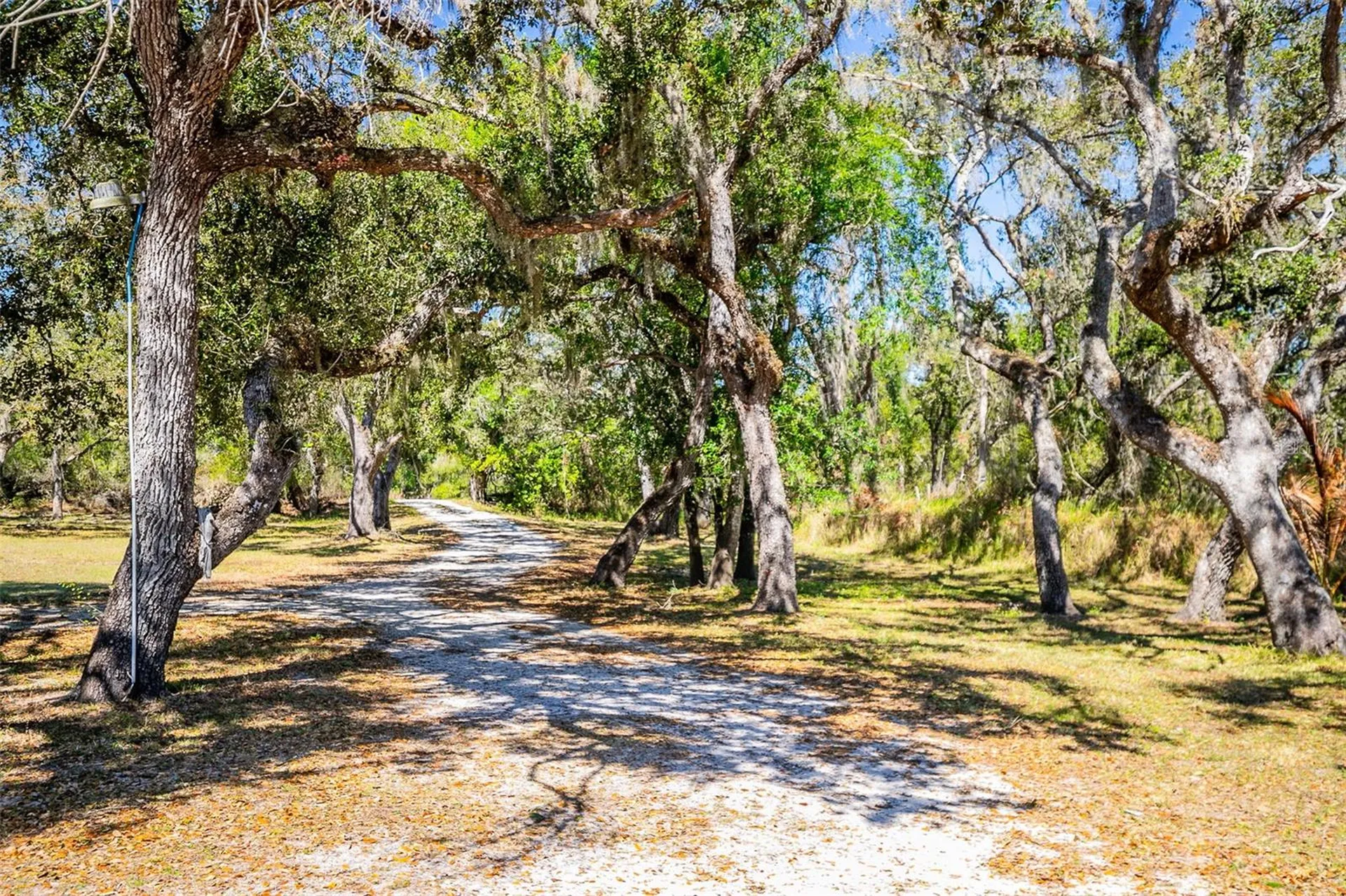 36442 Singletary Road Myakka City FL 34251