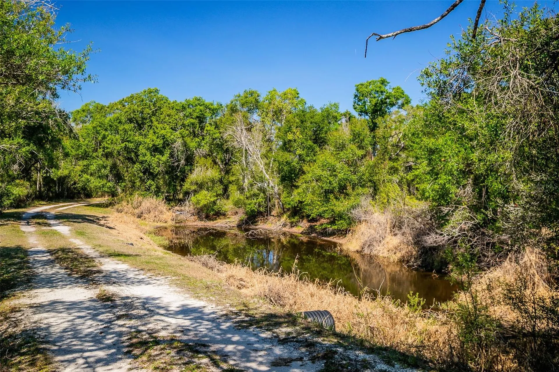 36442 Singletary Road Myakka City FL 34251