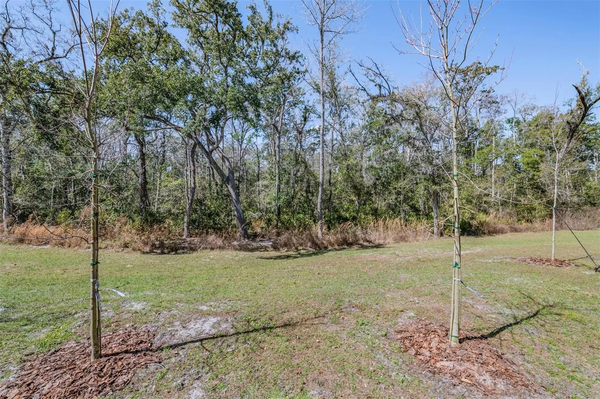 11123 Wishing Cloud Road Land O Lakes FL 34638