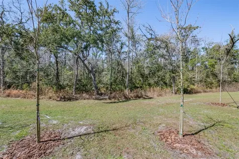 11123 Wishing Cloud Road Land O Lakes FL 34638