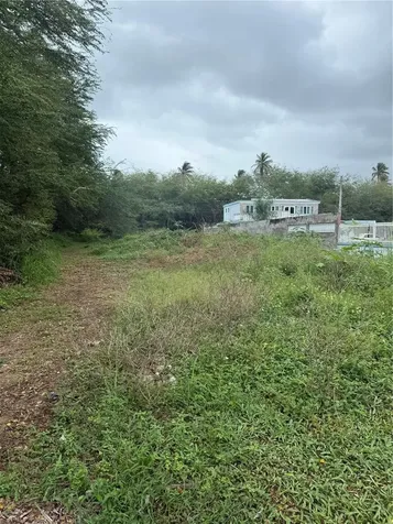 Calle Santillana Loiza PR 00772
