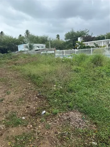 Calle Santillana Loiza PR 00772