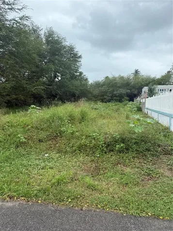 Calle Santillana Loiza PR 00772