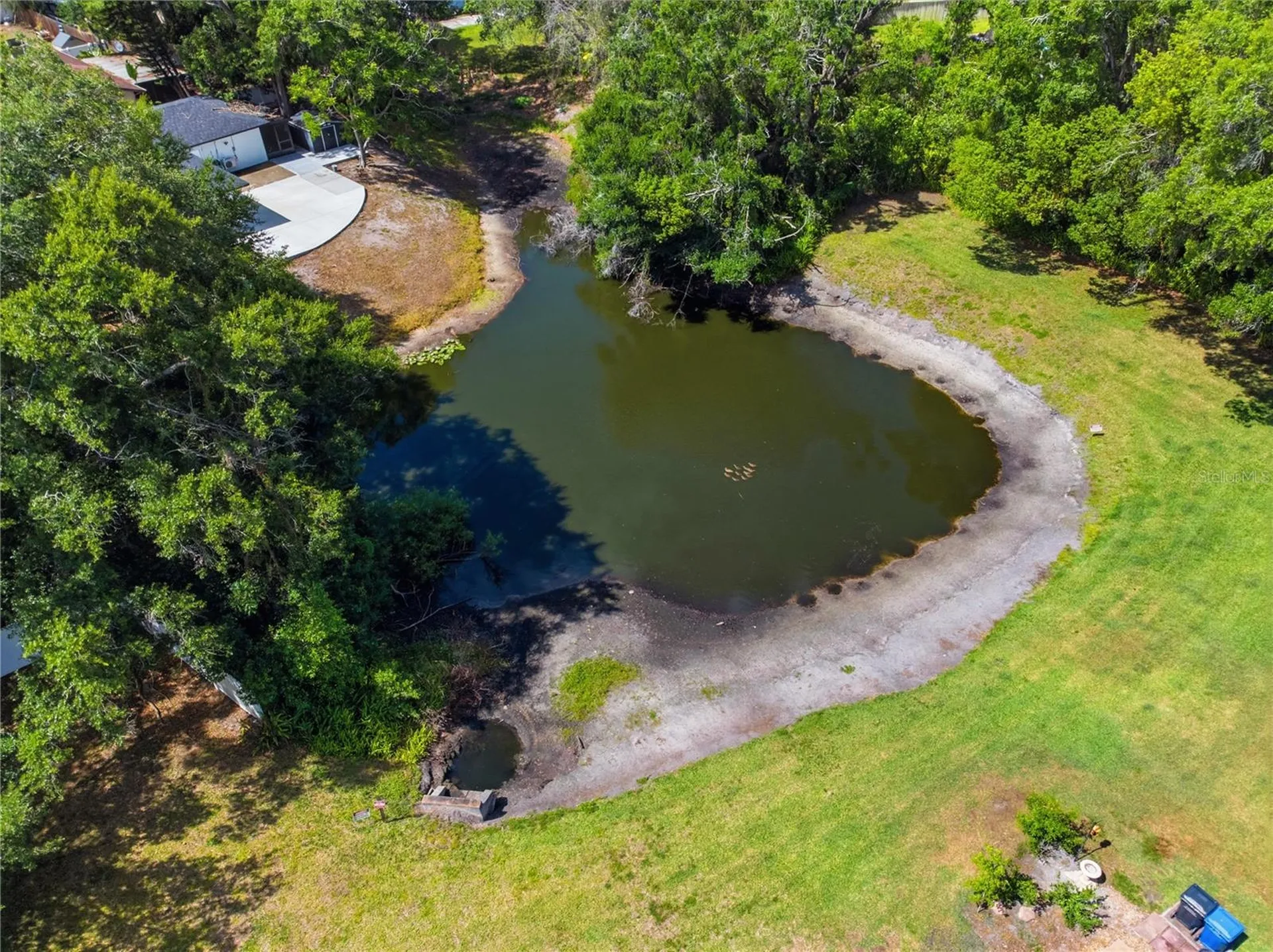 14804 Winding Creek Court Tampa FL 33613