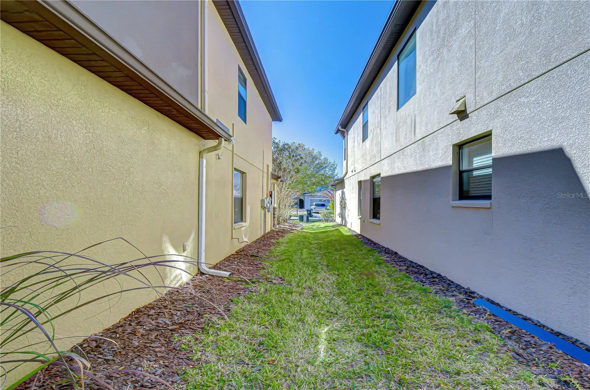7809 Tuscany Woods Drive Tampa FL 33647