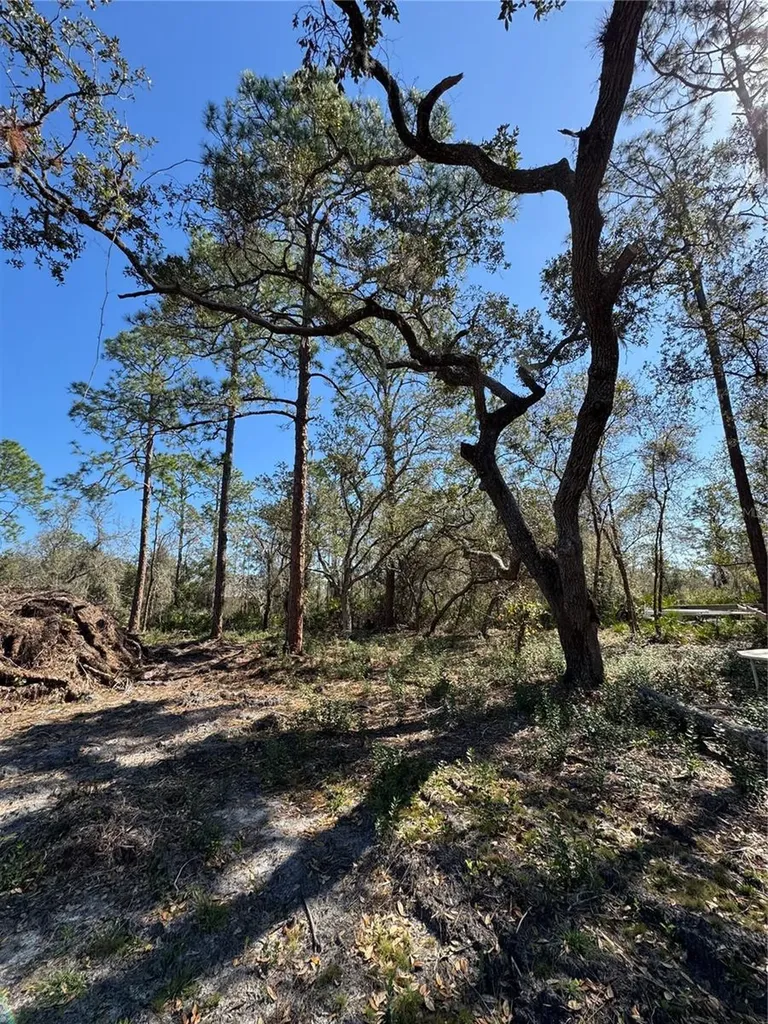 South Shore Drive Lake Wales FL 33898