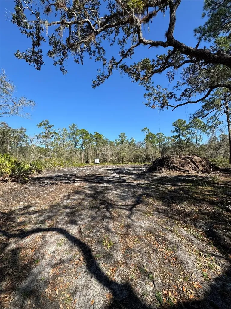 South Shore Drive Lake Wales FL 33898