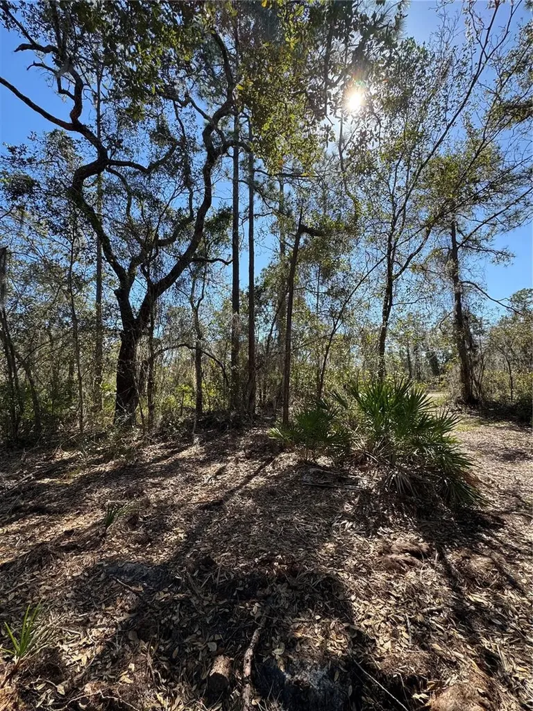 South Shore Drive Lake Wales FL 33898