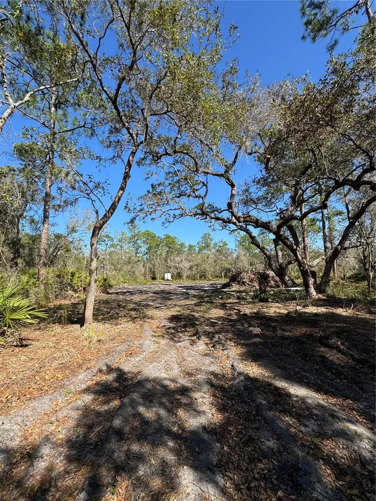 South Shore Drive Lake Wales FL 33898