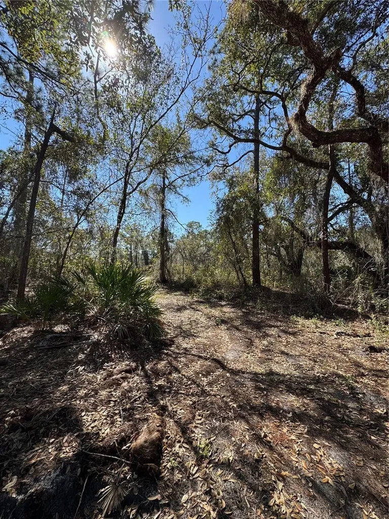 South Shore Drive Lake Wales FL 33898