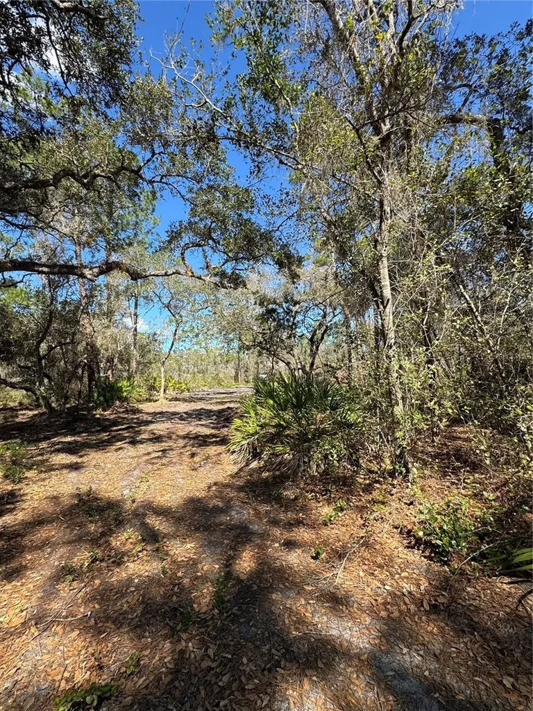 South Shore Drive Lake Wales FL 33898