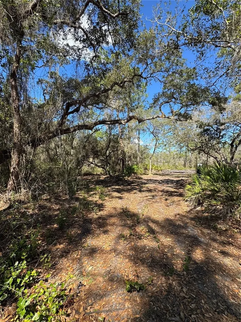 South Shore Drive Lake Wales FL 33898