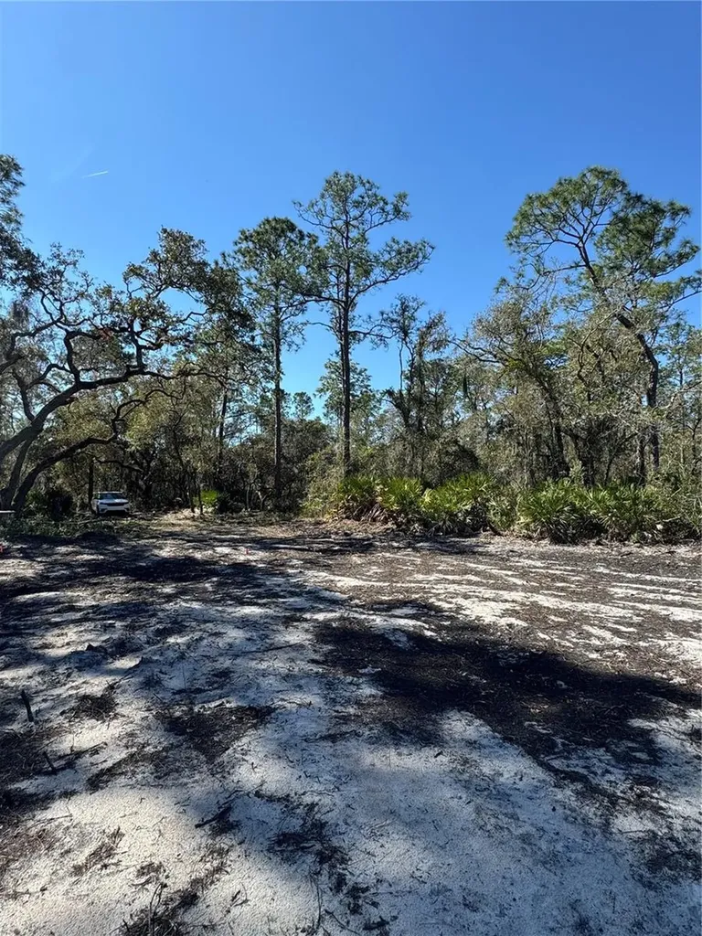 South Shore Drive Lake Wales FL 33898