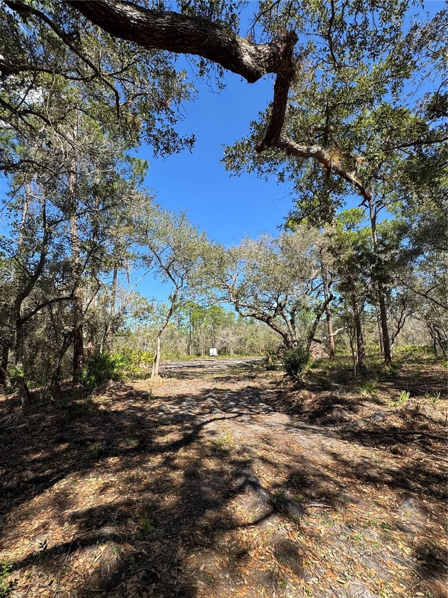 South Shore Drive Lake Wales FL 33898