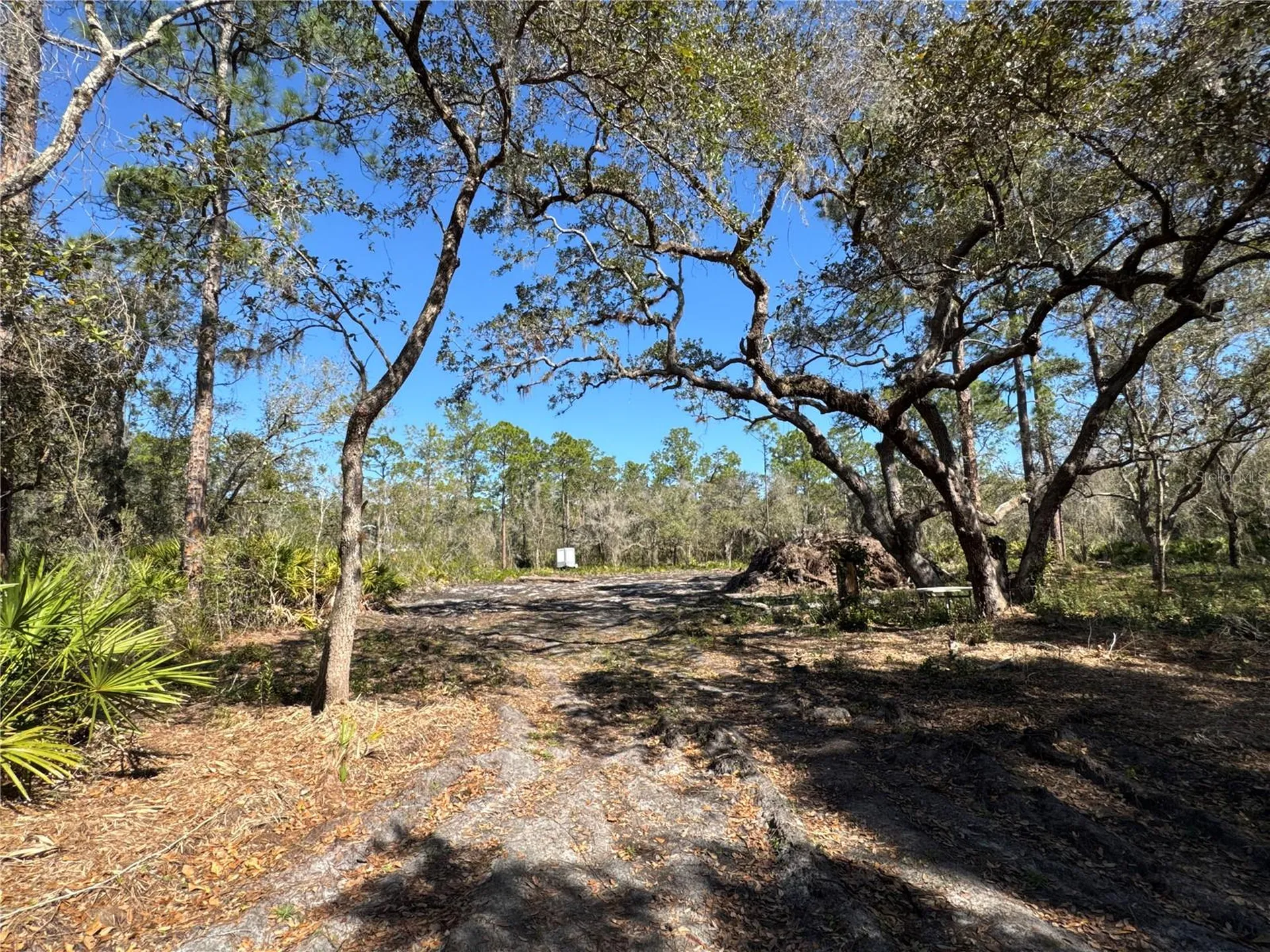 South Shore Drive Lake Wales FL 33898