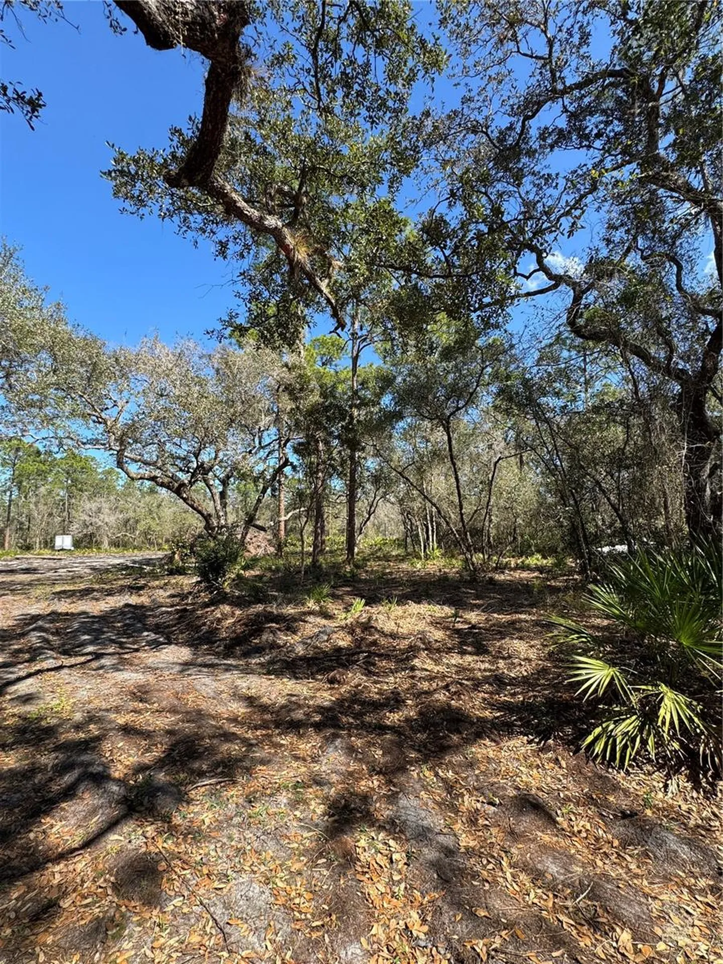 South Shore Drive Lake Wales FL 33898