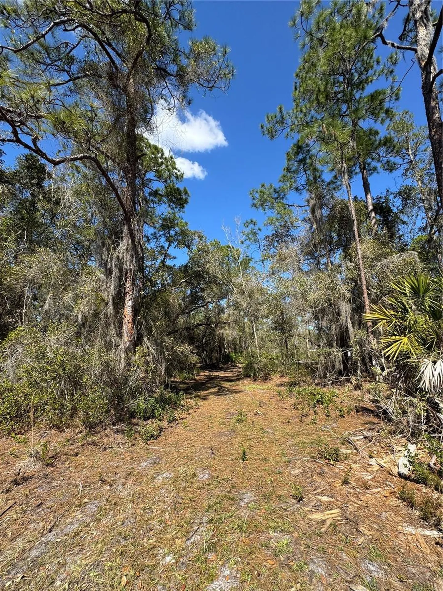 South Shore Drive Lake Wales FL 33898